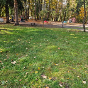 Site 2