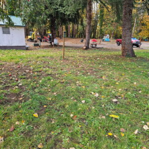 Site 3