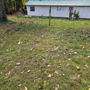 Site 4