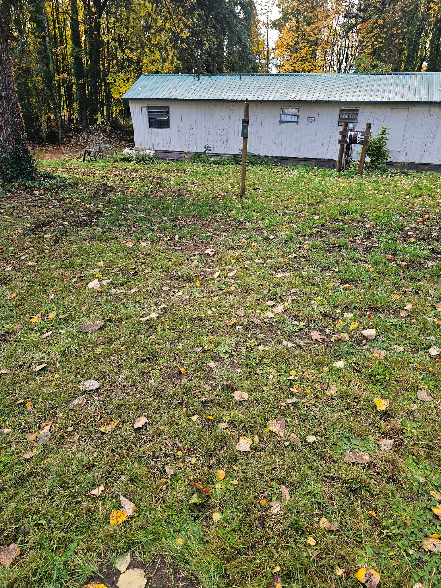 Site 4