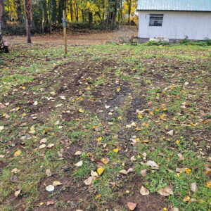 Site 5