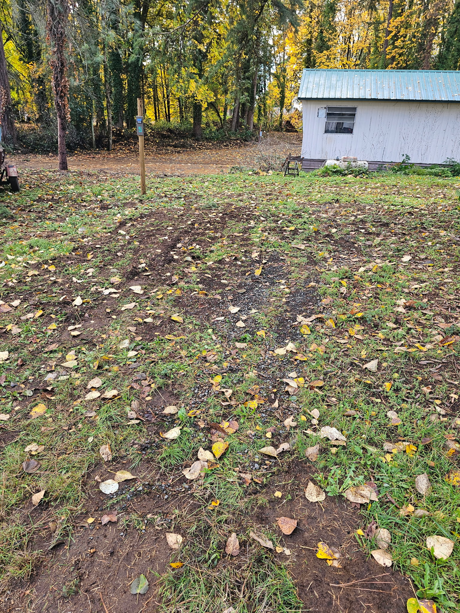 Site 5