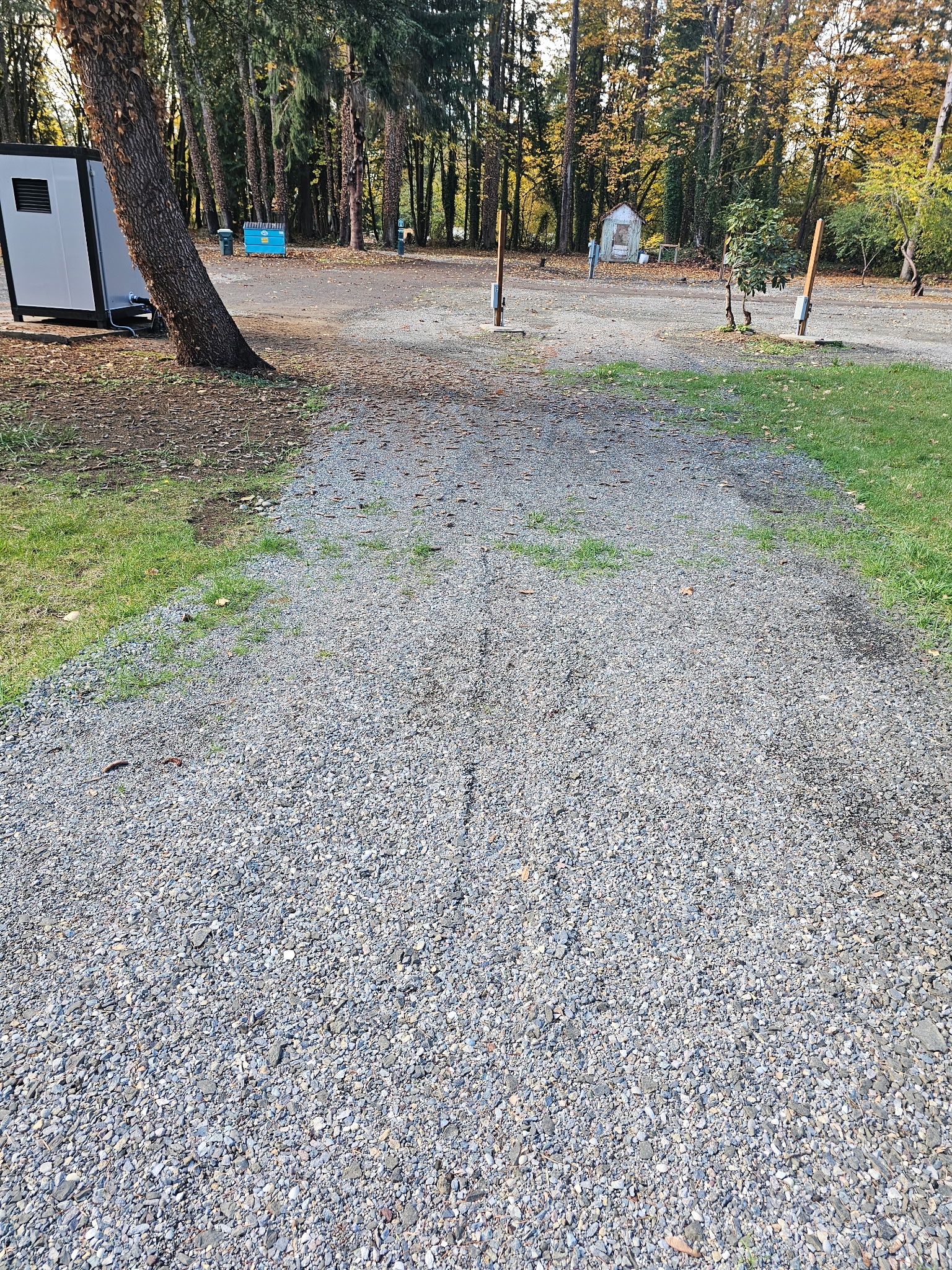 Site D