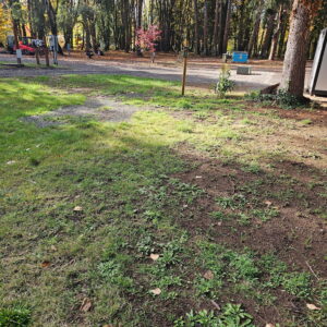 Site 1