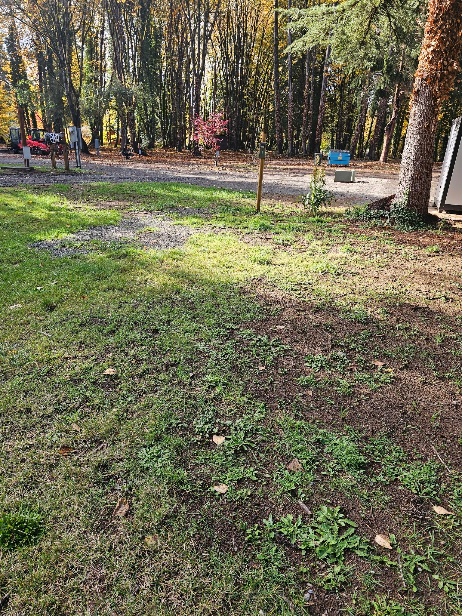 Site 1