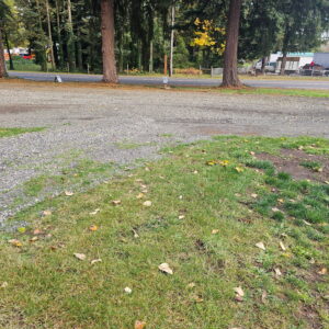 Site II