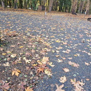 Site I