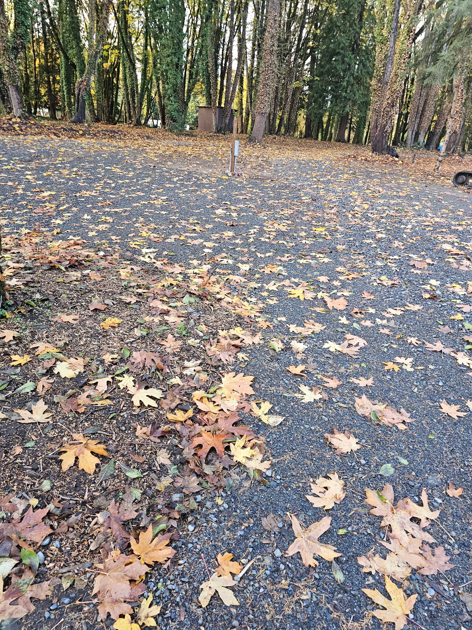Site I